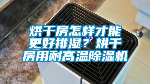 欧美黄色性爱视频网站 烘干房怎样才能更好排湿？烘干房用耐高温除湿机