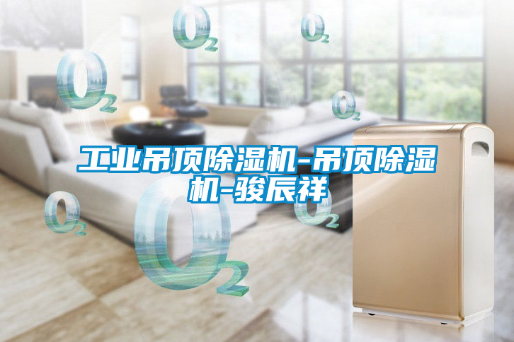 欧美黄色电影在线播放 工业吊顶除湿机-吊顶除湿机-骏辰祥