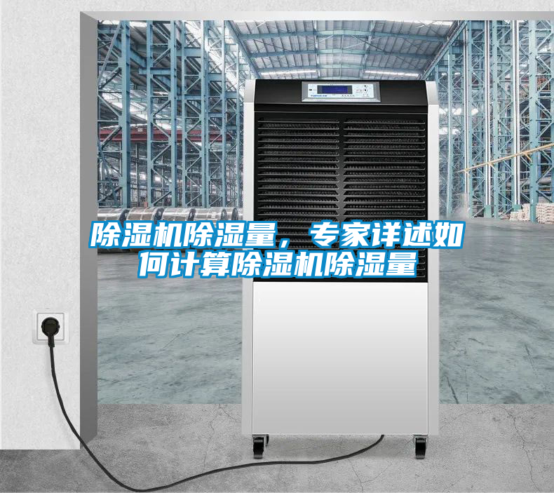 欧美黄色电影在线播放 除湿机除湿量，专家详述如何计算除湿机除湿量