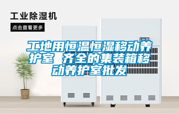 欧美黄色性爱视频网站 工地用恒温恒湿移动养护室 齐全的集装箱移动养护室批发