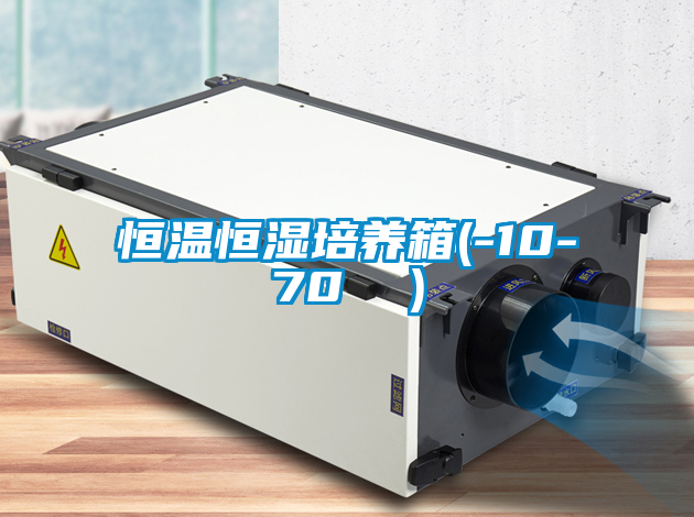 欧美黄色性爱视频网站 恒温恒湿培养箱(-10-70 ℃）