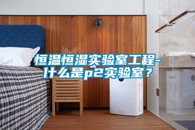 欧美黄色性爱视频网站 恒温恒湿实验室工程-什么是p2实验室？