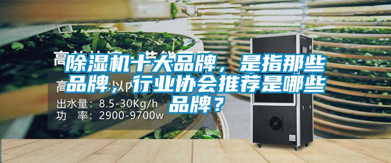 欧美黄色电影在线播放 除湿机十大品牌，是指那些品牌，行业协会推荐是哪些品牌？