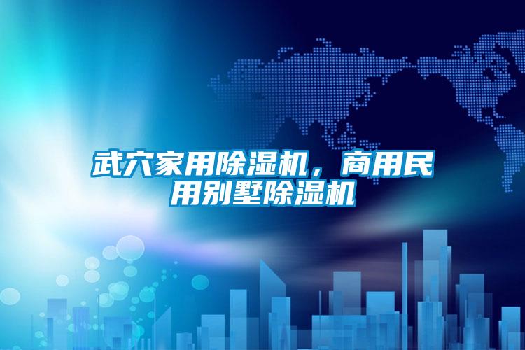 欧美黄色性爱视频网站 武穴家用除湿机，商用民用别墅除湿机