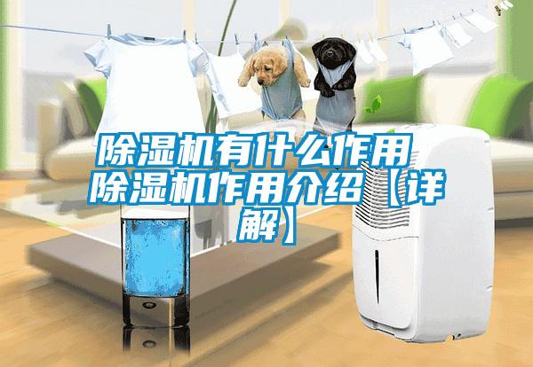 欧美黄色电影在线播放 除湿机有什么作用 除湿机作用介绍【详解】