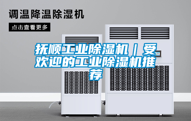 欧美成色手机在线观看 抚顺工业除湿机｜受欢迎的工业除湿机推荐
