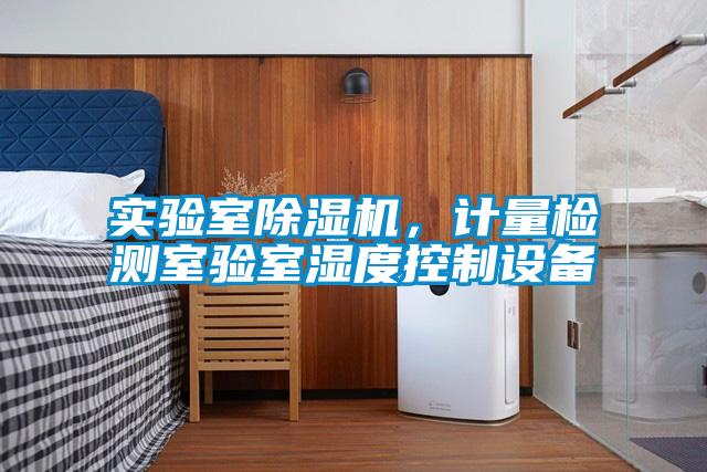 欧美黄色性爱视频网站 实验室除湿机，计量检测室验室湿度控制设备