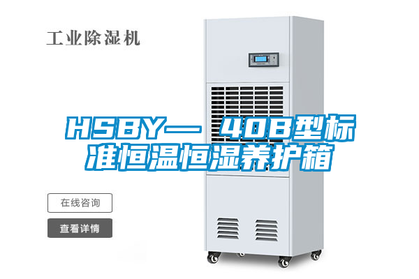 欧美黄色电影在线播放 HSBY— 40B型标准恒温恒湿养护箱