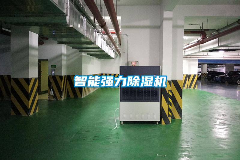 欧美黄色性爱视频网站 智能强力除湿机