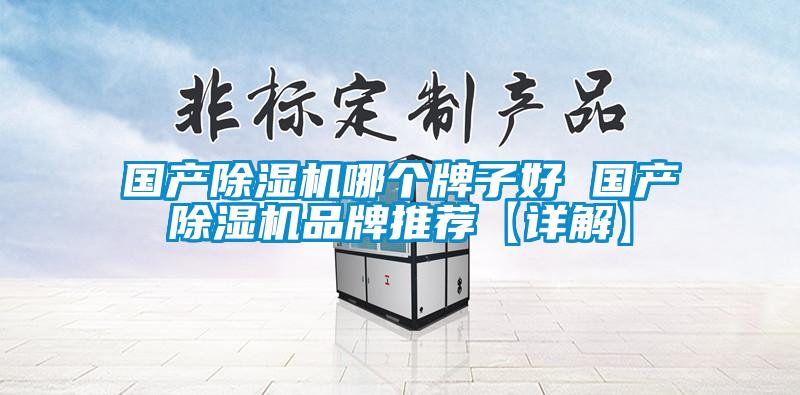 欧美成色手机在线观看 国产除湿机哪个牌子好 国产除湿机品牌推荐【详解】