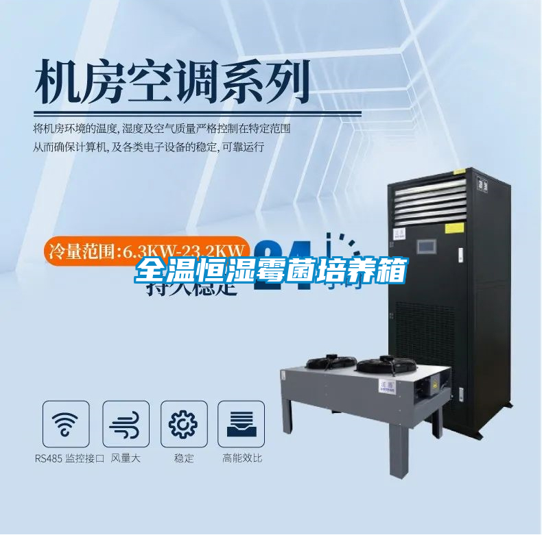 欧美黄色电影在线播放 全温恒湿霉菌培养箱