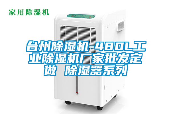 欧美黄色电影在线播放 台州除湿机-480L工业除湿机厂家批发定做 除湿器系列