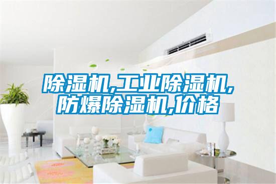 欧美黄色电影在线播放 除湿机,工业除湿机,防爆除湿机,价格