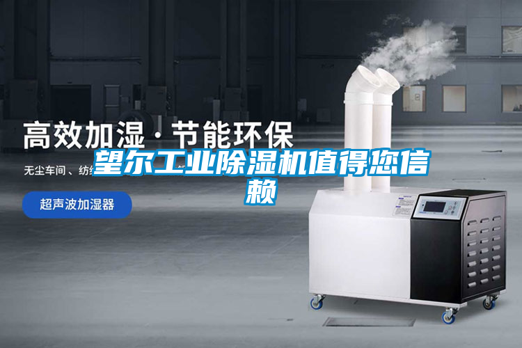 欧美黄色性爱视频网站 望尔工业除湿机值得您信赖