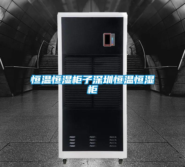 欧美黄色性爱视频网站 恒温恒湿柜子深圳恒温恒湿柜