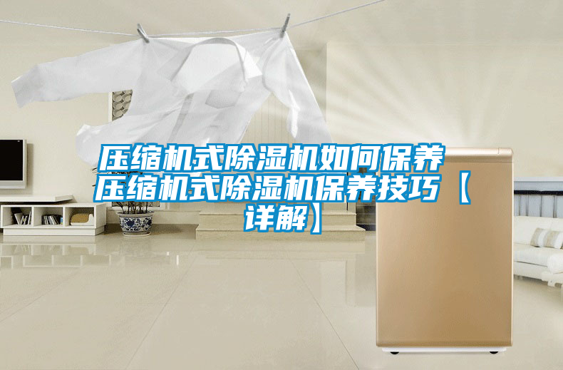 欧美成色手机在线观看 压缩机式除湿机如何保养 压缩机式除湿机保养技巧【详解】