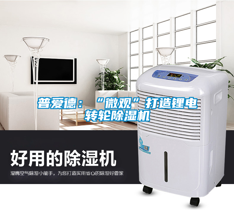 欧美黄色性爱视频网站 普爱德：“微观”打造锂电转轮除湿机