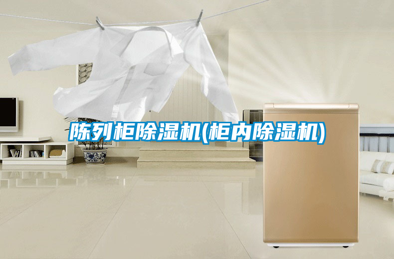 欧美黄色电影在线播放 陈列柜除湿机(柜内除湿机)