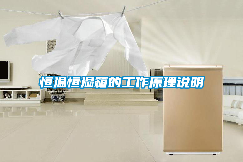 欧美黄色性爱视频网站 恒温恒湿箱的工作原理说明