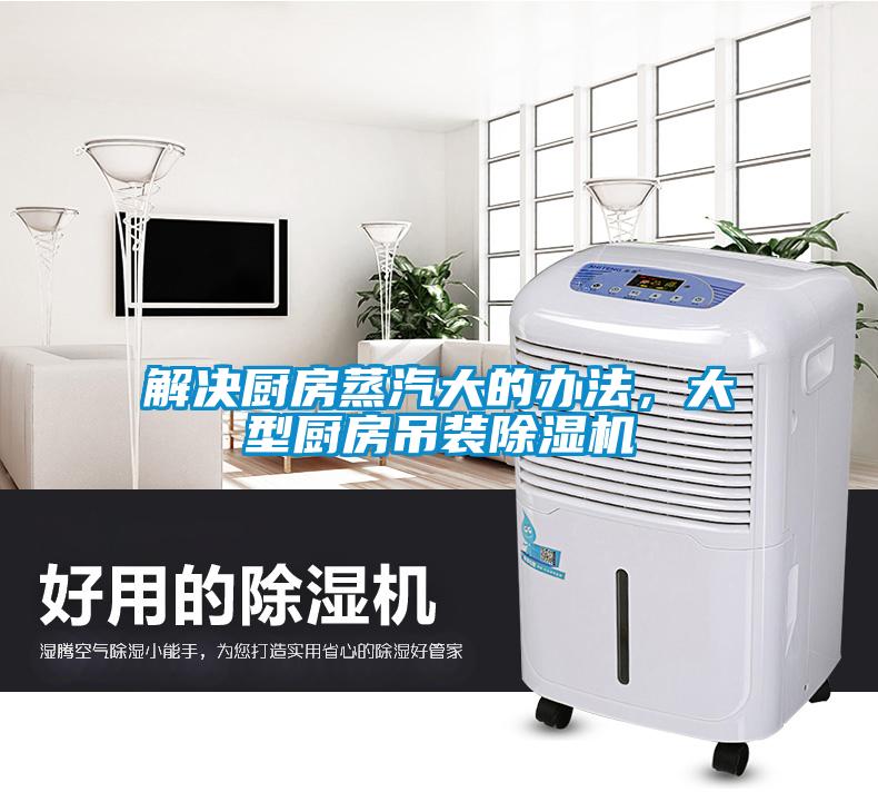 欧美成色手机在线观看 解决厨房蒸汽大的办法，大型厨房吊装除湿机