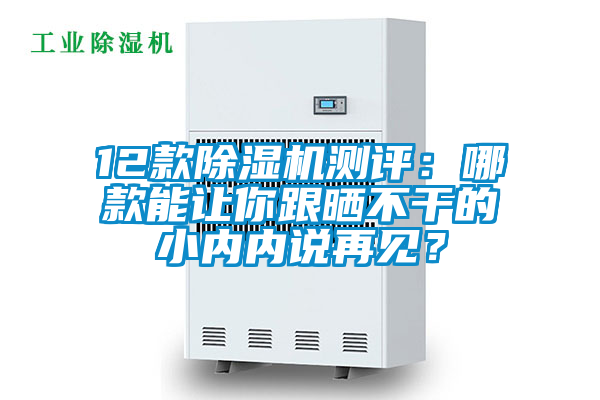欧美成色手机在线观看 12款除湿机测评：哪款能让你跟晒不干的小内内说再见？