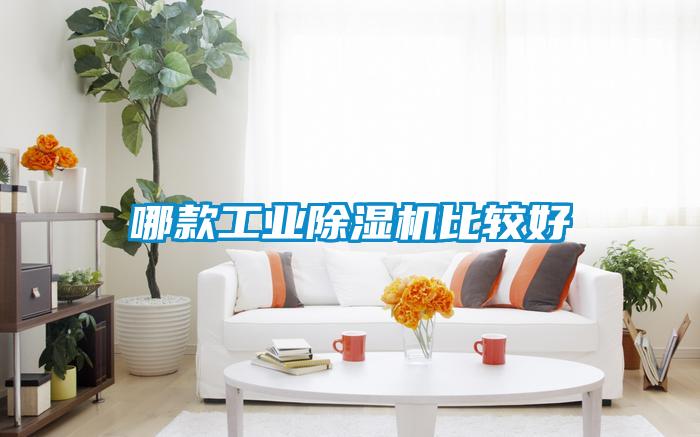 欧美黄色性爱视频网站 哪款工业除湿机比较好