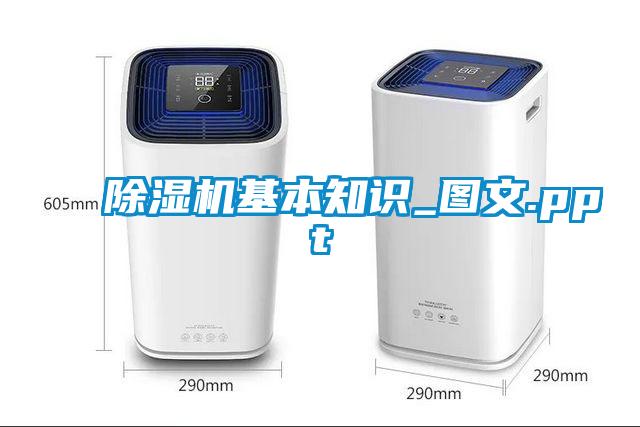 欧美黄色电影在线播放 除湿机基本知识_图文.ppt