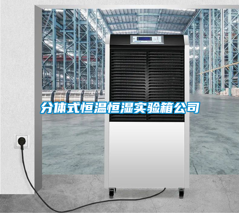 欧美黄色电影在线播放 分体式恒温恒湿实验箱公司