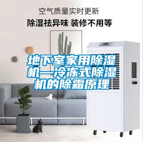 欧美黄色性爱视频网站 地下室家用除湿机—冷冻式除湿机的除霜原理