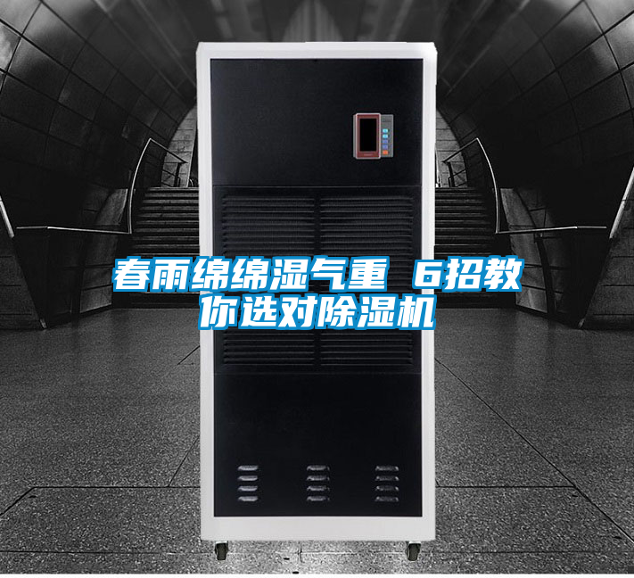 欧美黄色电影在线播放 春雨绵绵湿气重 6招教你选对除湿机