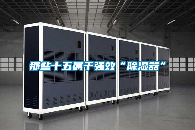 欧美黄色性爱视频网站 那些十五属于强效“除湿器”