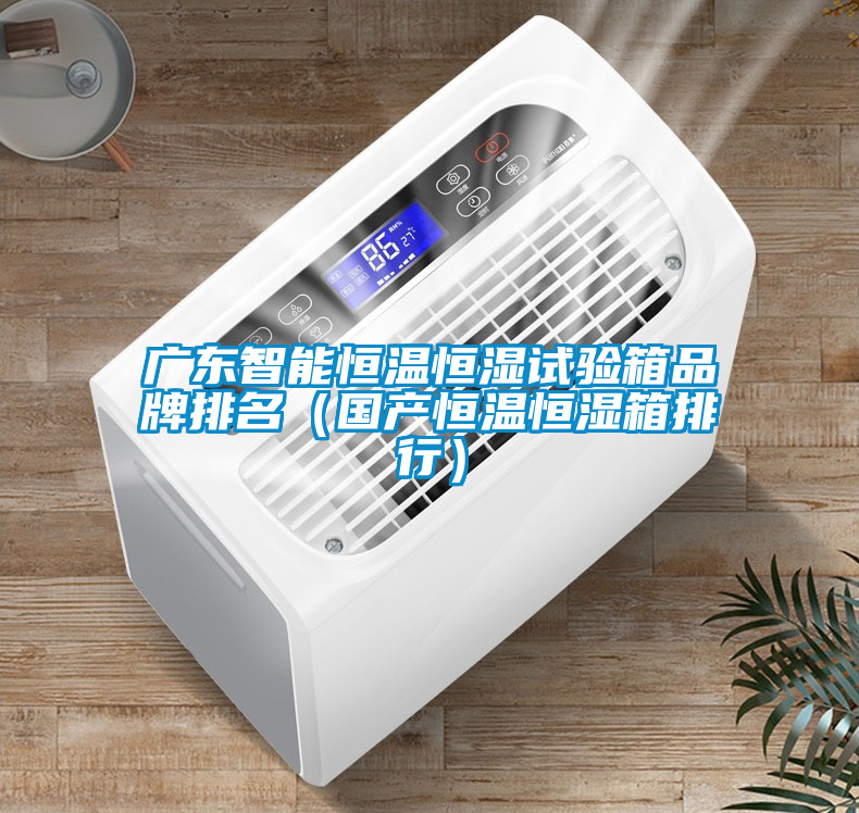 欧美黄色电影在线播放 广东智能恒温恒湿试验箱品牌排名（国产恒温恒湿箱排行）