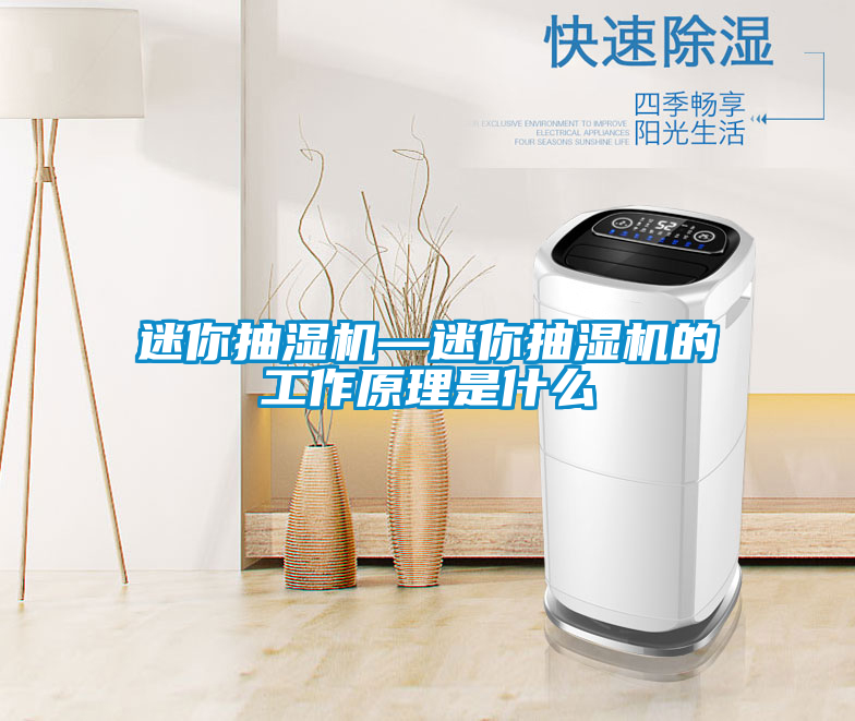 欧美黄色电影在线播放 迷你抽湿机—迷你抽湿机的工作原理是什么