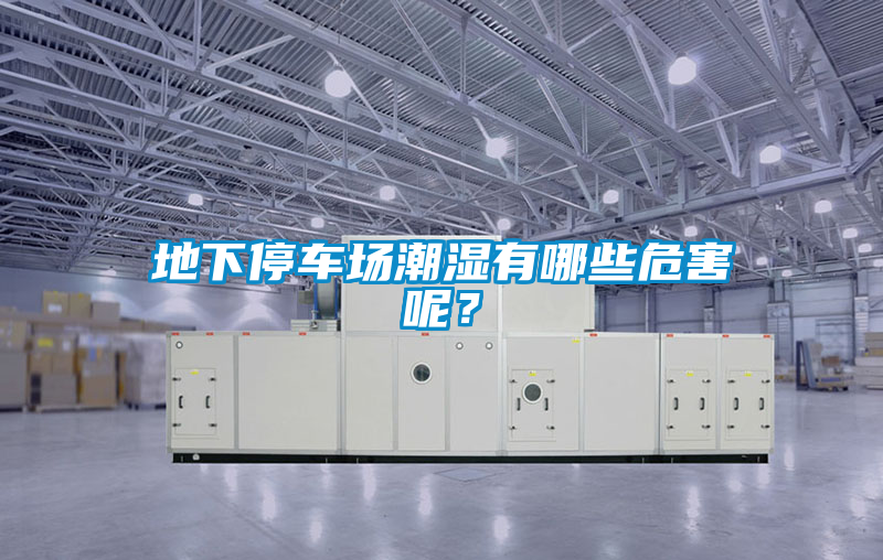 欧美黄色性爱视频网站 地下停车场潮湿有哪些危害呢？