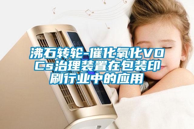 欧美黄色性爱视频网站 沸石转轮-催化氧化VOCs治理装置在包装印刷行业中的应用