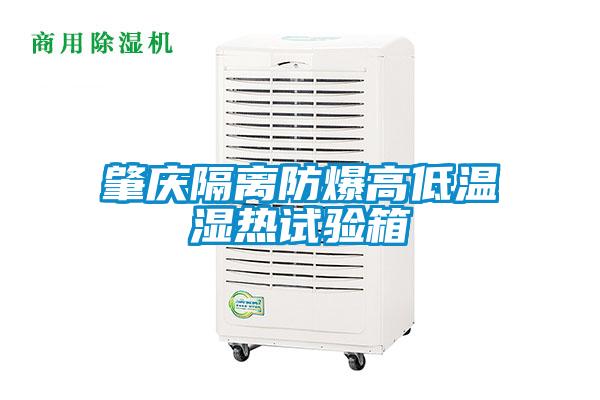 欧美黄色电影在线播放 肇庆隔离防爆高低温湿热试验箱