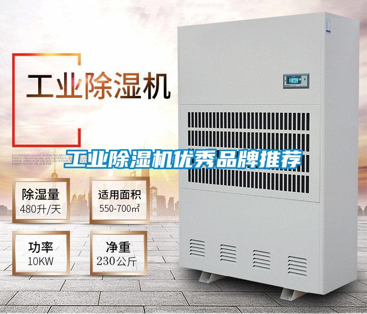 欧美黄色性爱视频网站 工业除湿机优秀品牌推荐