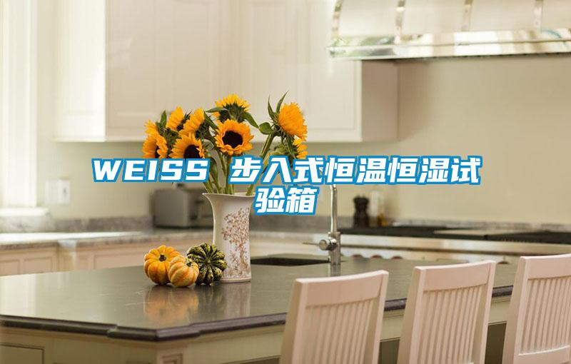 欧美黄色电影在线播放 WEISS 步入式恒温恒湿试验箱