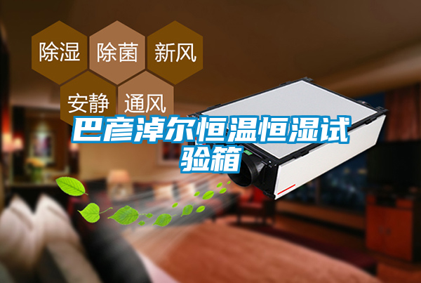 欧美黄色性爱视频网站 巴彦淖尔恒温恒湿试验箱