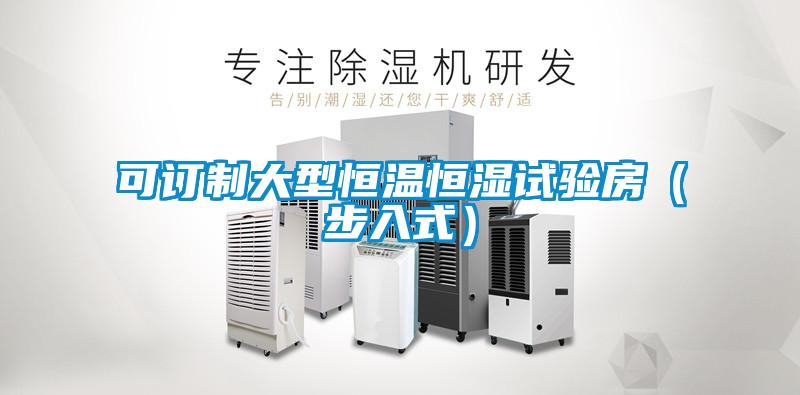 欧美黄色电影在线播放 可订制大型恒温恒湿试验房（步入式）