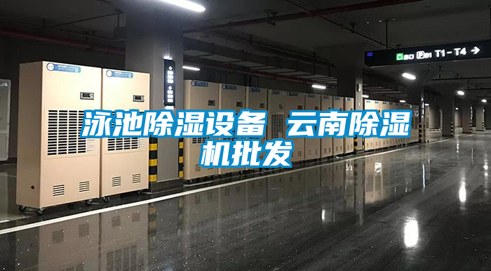 欧美黄色性爱视频网站 泳池除湿设备 云南除湿机批发