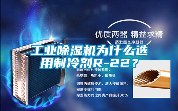 欧美黄色电影在线播放 工业除湿机为什么选用制冷剂R-22？