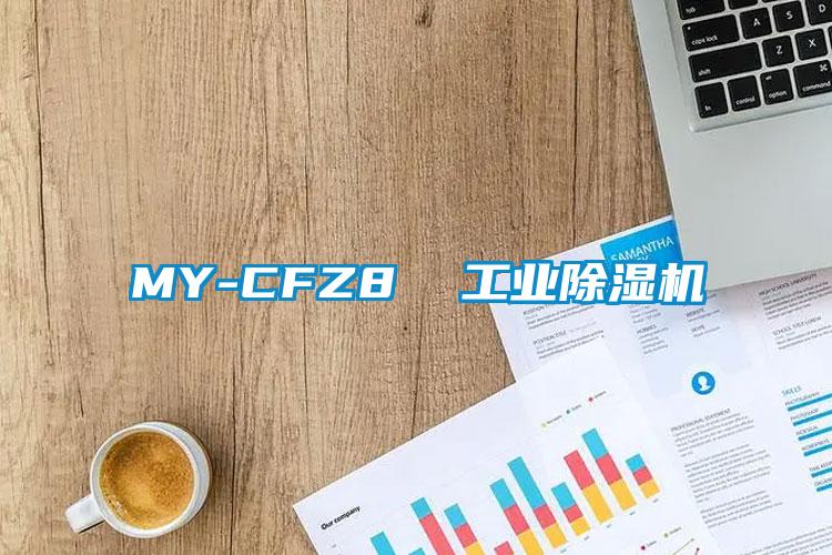 欧美黄色性爱视频网站 MY-CFZ8  工业除湿机