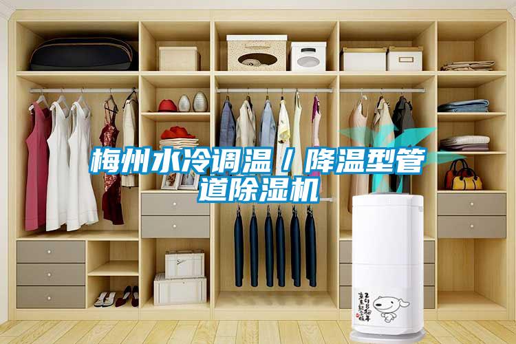 欧美黄色性爱视频网站 梅州水冷调温／降温型管道除湿机