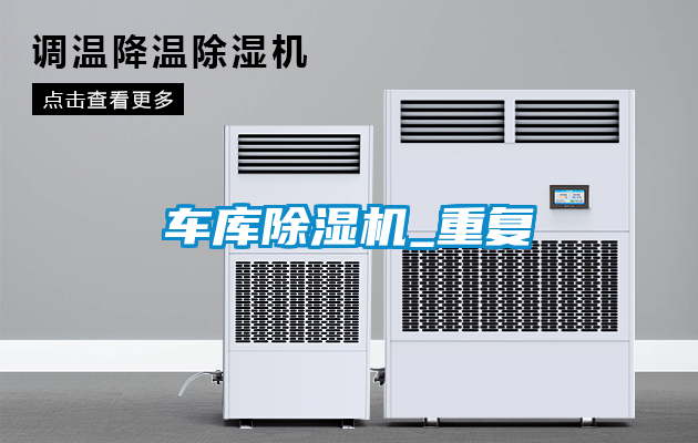 欧美黄色性爱视频网站 车库除湿机_重复