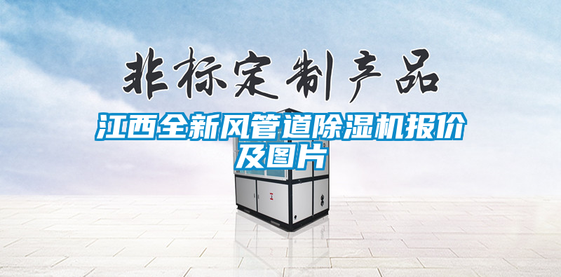 欧美黄色电影在线播放 江西全新风管道除湿机报价及图片