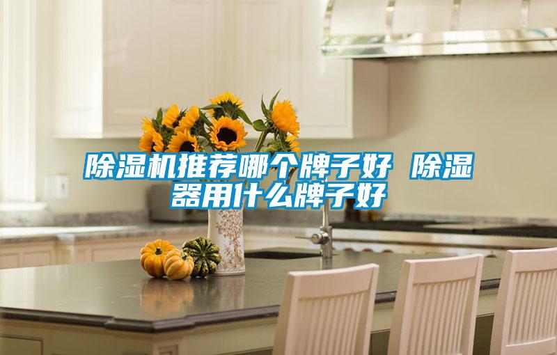 欧美黄色性爱视频网站 除湿机推荐哪个牌子好 除湿器用什么牌子好