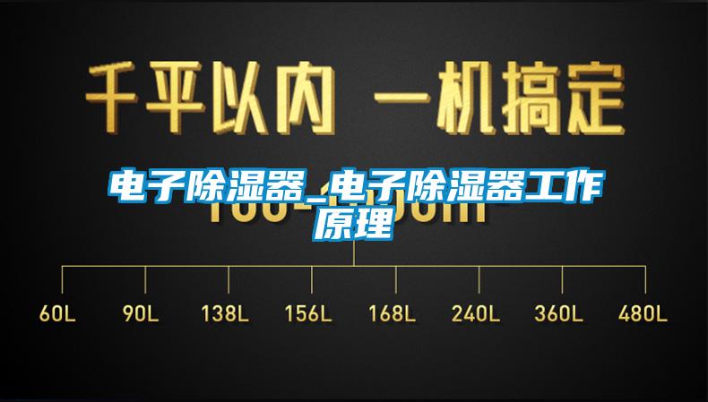 欧美黄色性爱视频网站 电子除湿器_电子除湿器工作原理