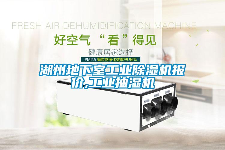 欧美黄色电影在线播放 湖州地下室工业除湿机报价,工业抽湿机