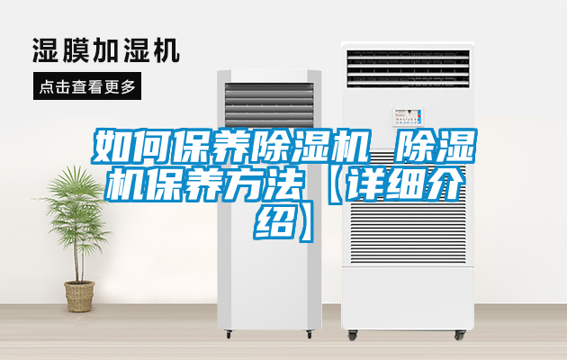 欧美成色手机在线观看 如何保养除湿机 除湿机保养方法【详细介绍】